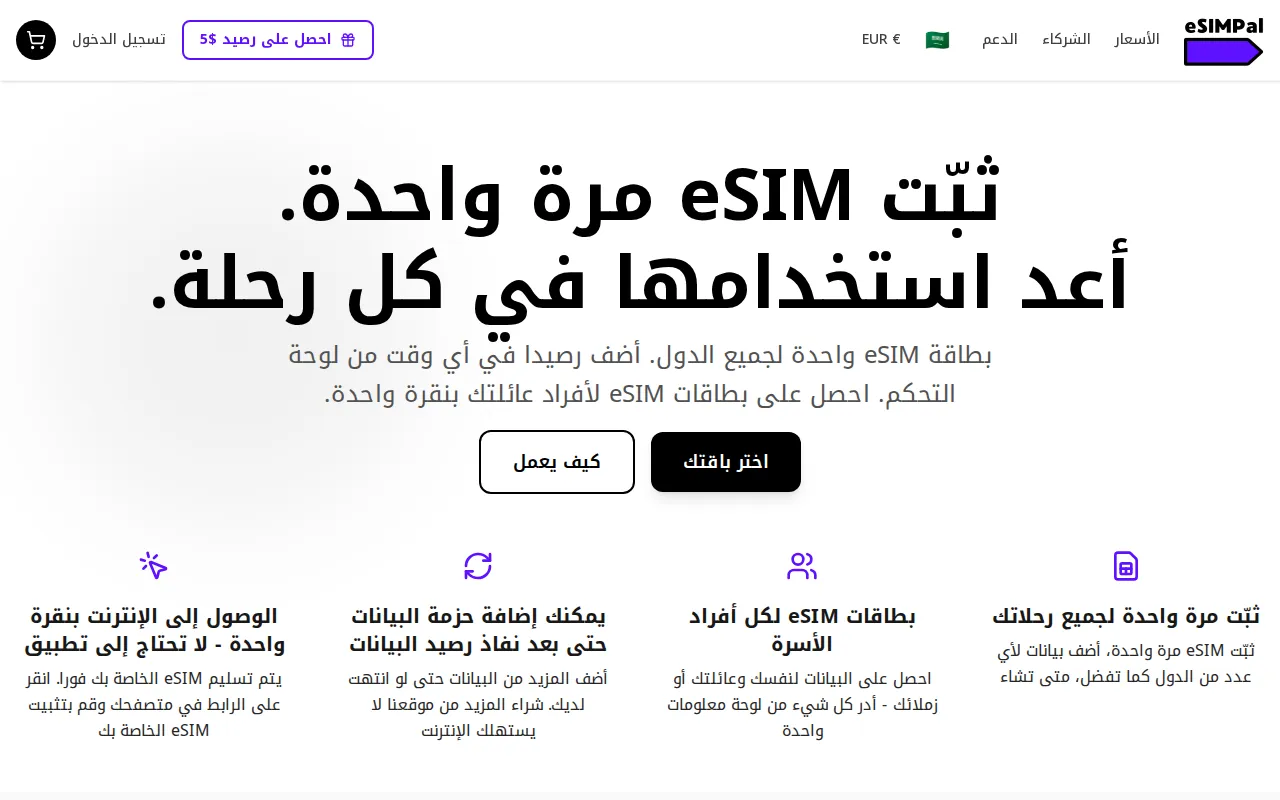 First viewport of eSIMPal as captured